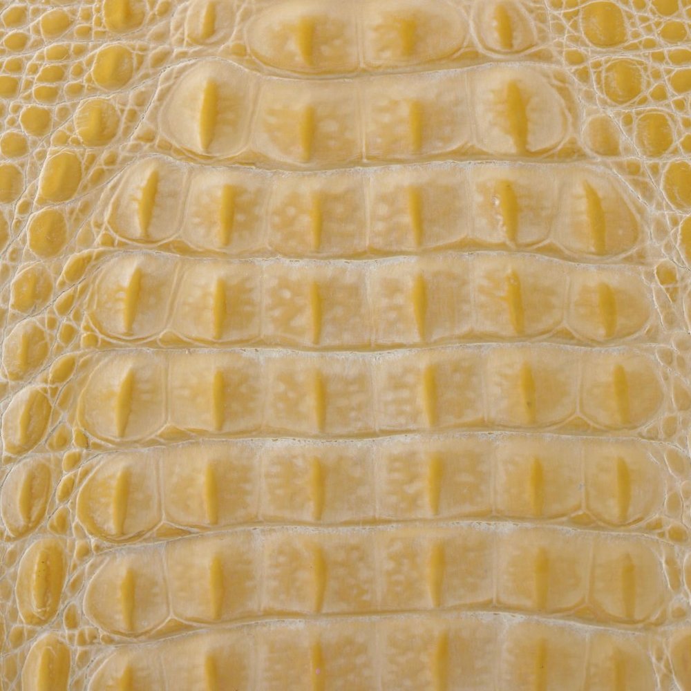 ✧ Retta Wolff • Yellow "ligator" purse - Picture 4 of 12